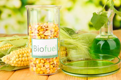 Edinburgh biofuel availability